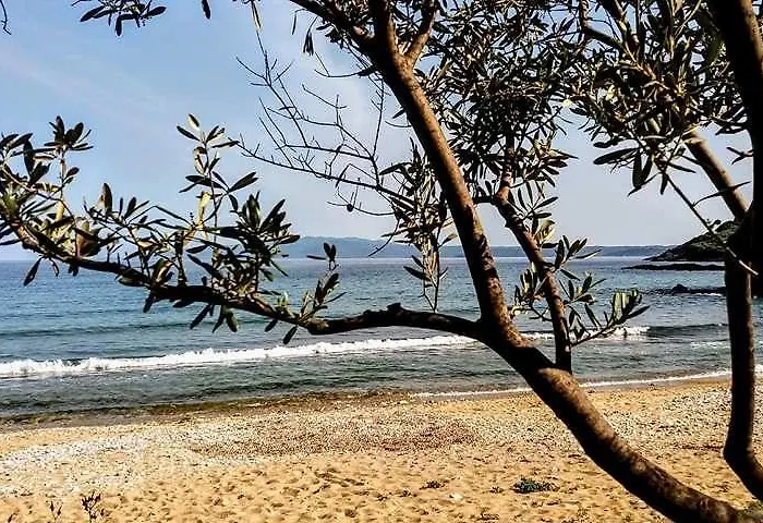 House Kokkalas On The *