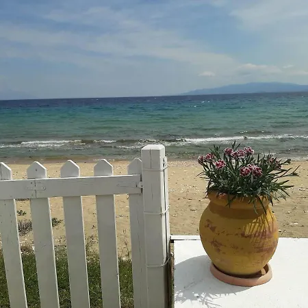 Tatil Evi House Kokkalas On The *